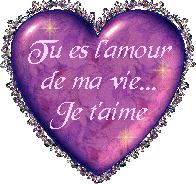 tu es l'amour de ma vie